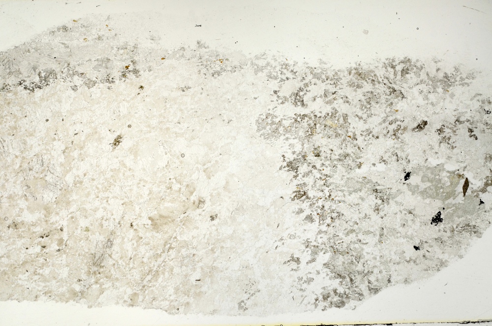 Plane Polarized, S70268