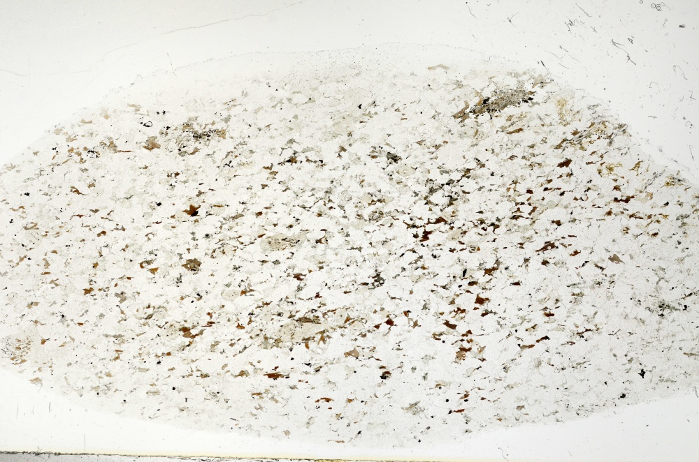 Plane Polarized, S70283