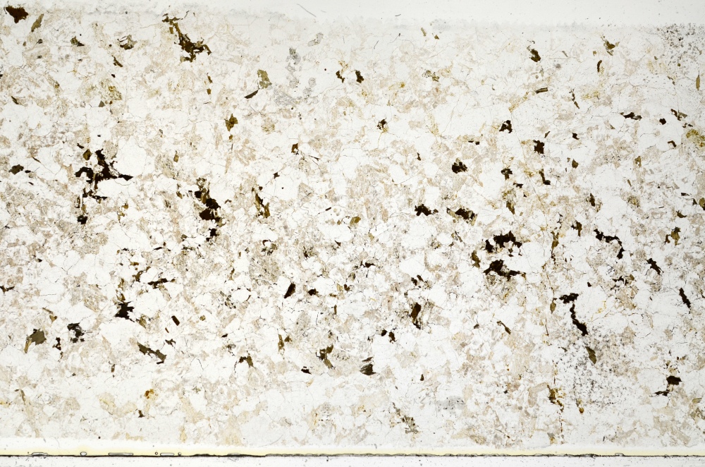 Plane Polarized, S70285