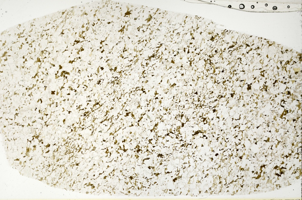 Plane Polarized, S70287