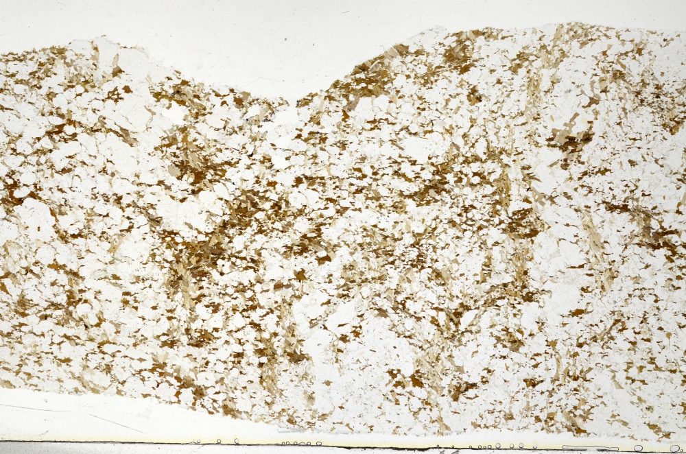 Plane Polarized, S70322