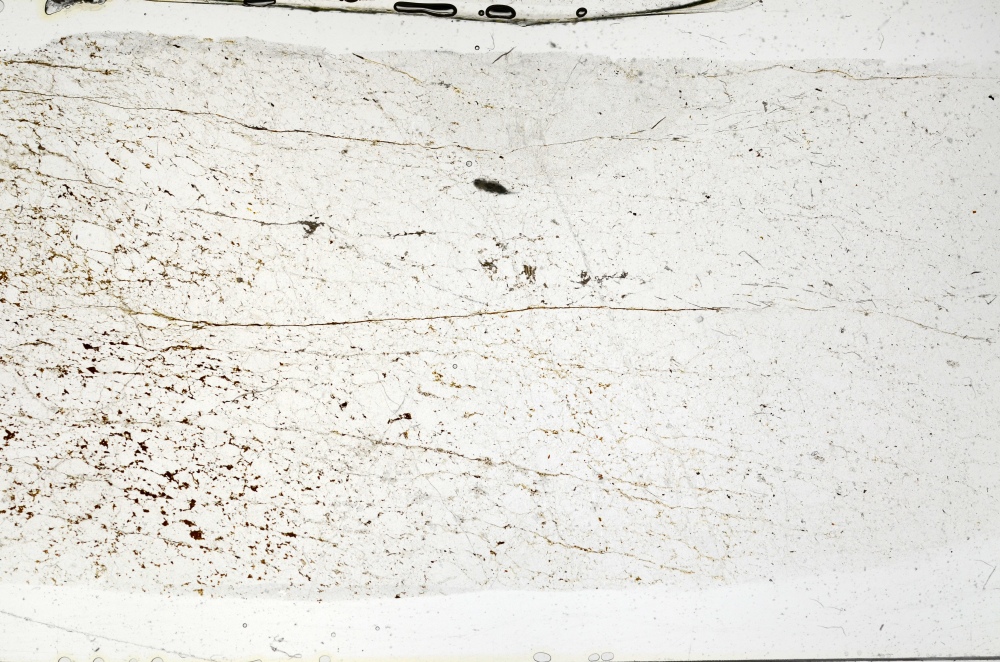 Plane Polarized, S70356