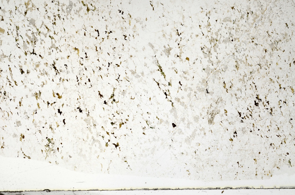 Plane Polarized, S70376