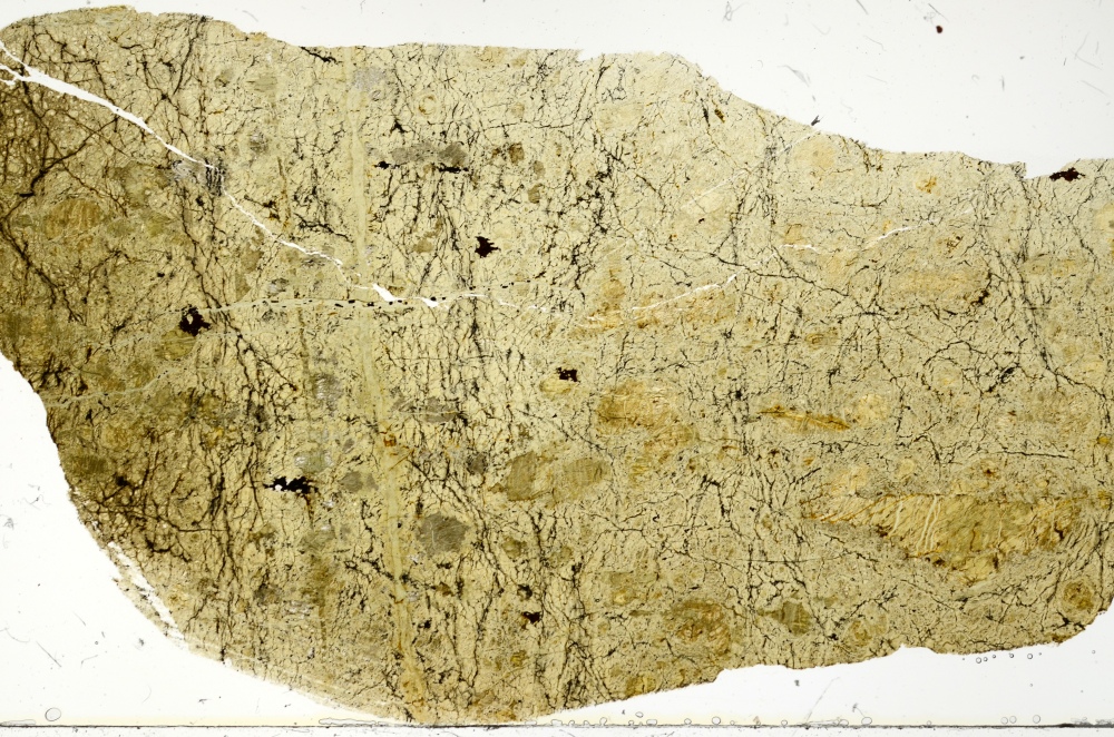 Plane Polarized, S70409