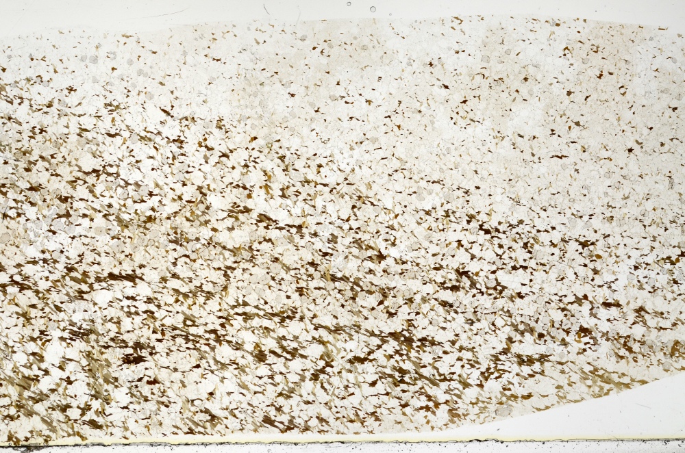 Plane Polarized, S70449
