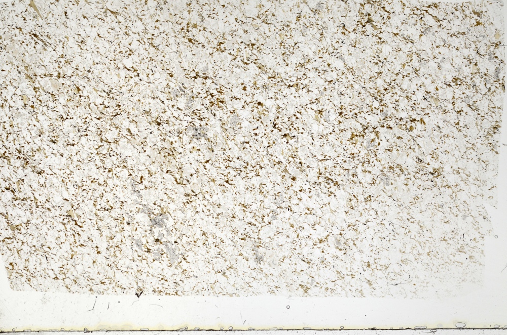 Plane Polarized, S70454