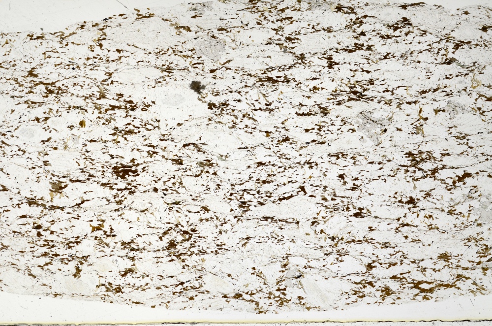 Plane Polarized, S70458