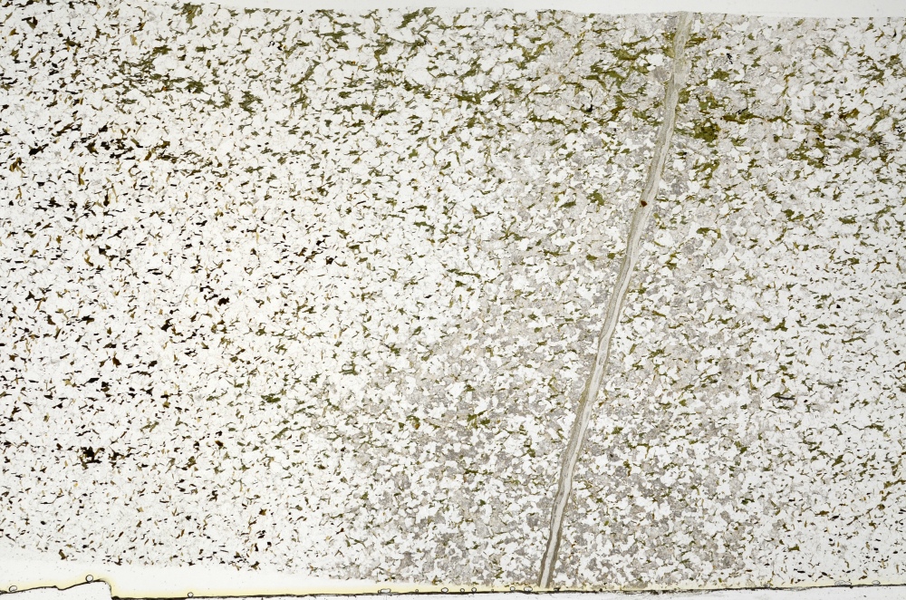 Plane Polarized, S70472