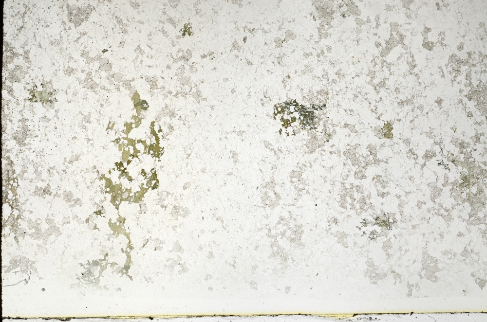 Plane Polarized, S70484