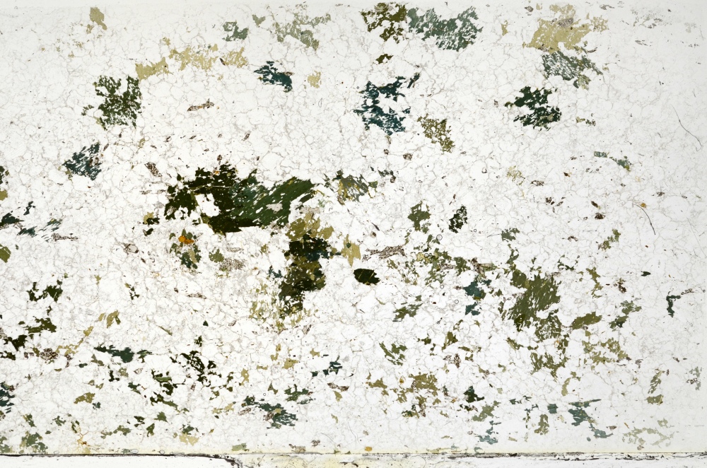 Plane Polarized, S70485