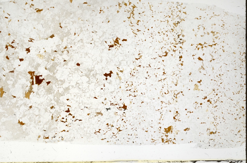 Plane Polarized, S70564