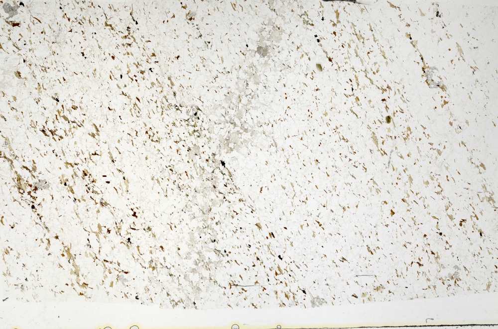 Plane Polarized, S70572
