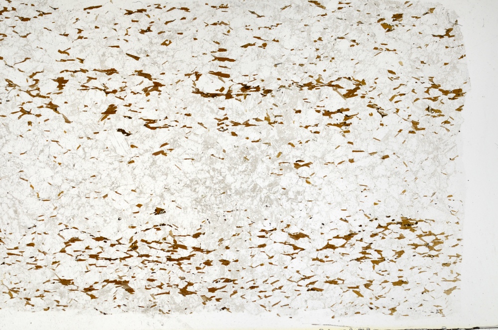 Plane Polarized, S70575