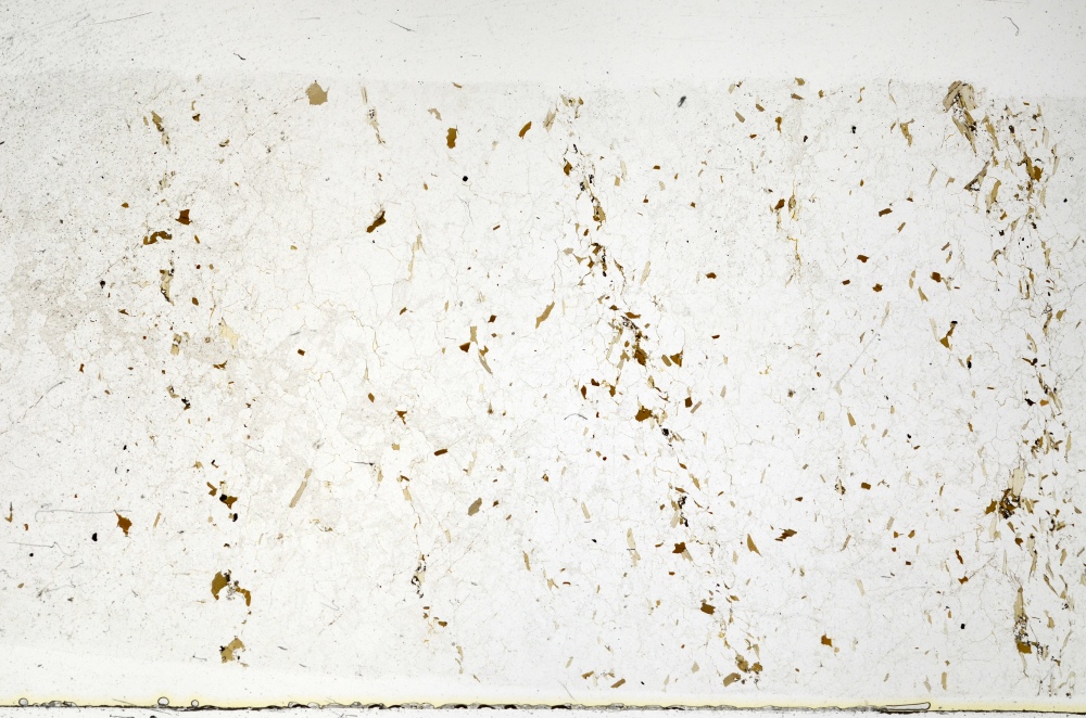 Plane Polarized, S70577