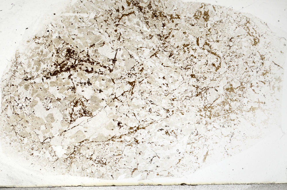 Plane Polarized, S70587