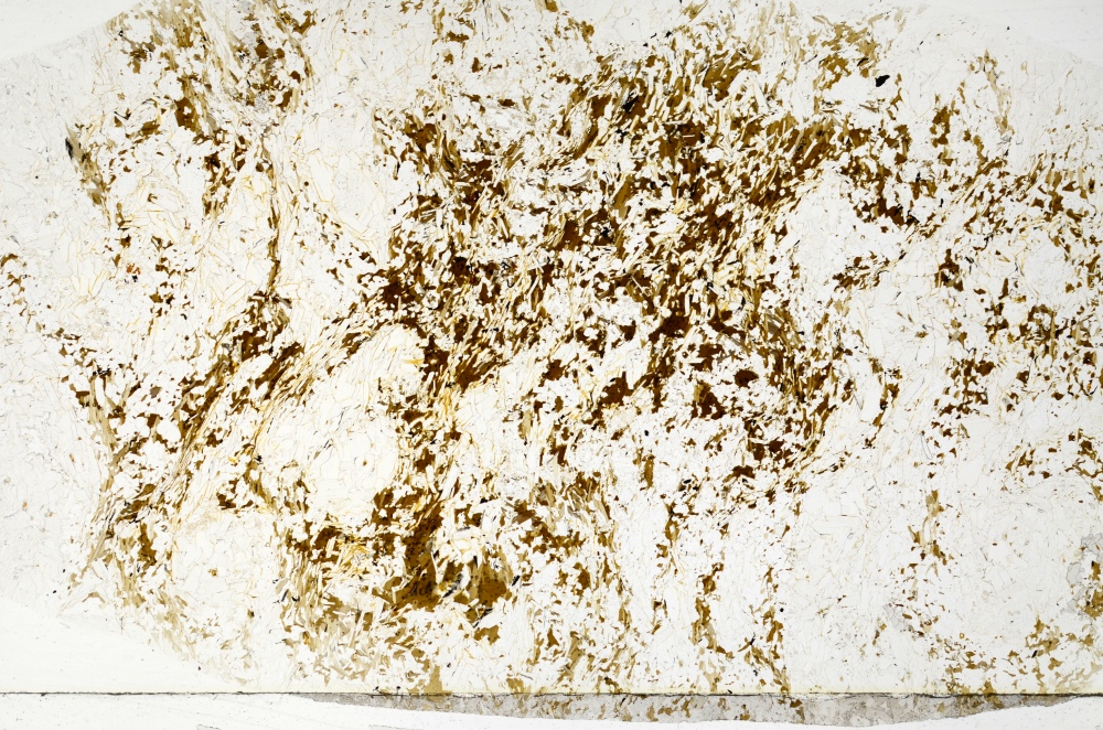 Plane Polarized, S70597/A