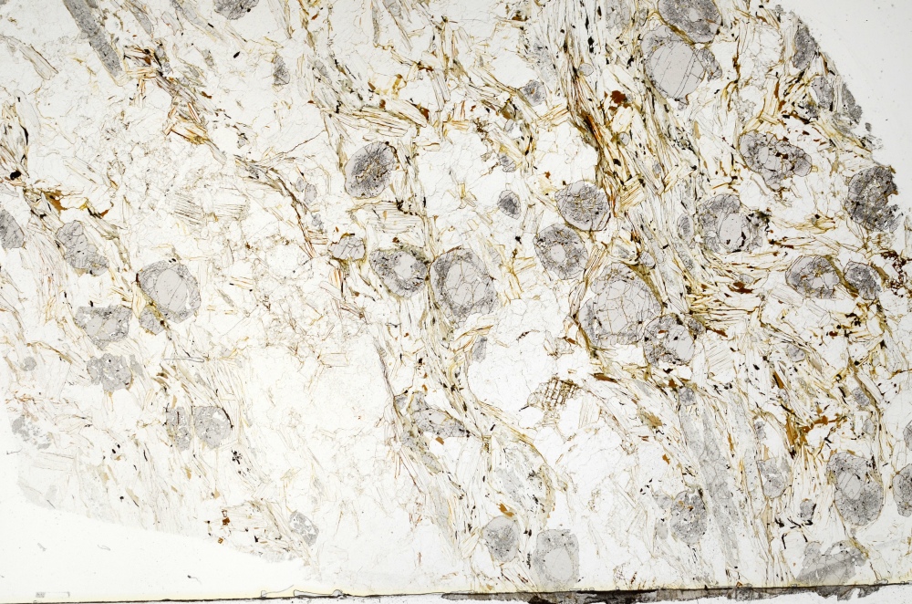 Plane Polarized, S70617