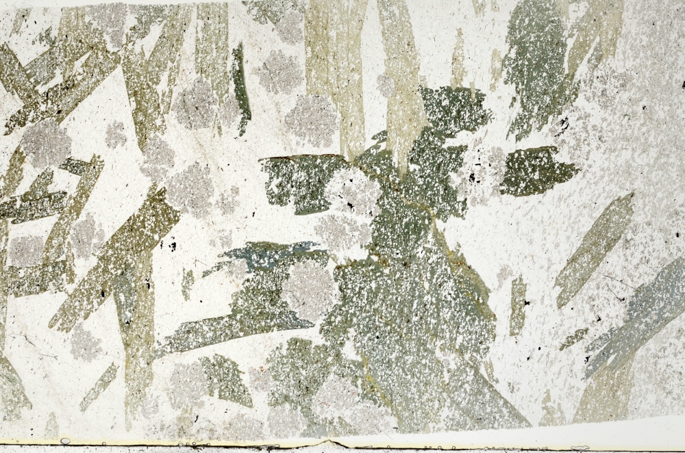 Plane Polarized, S70673