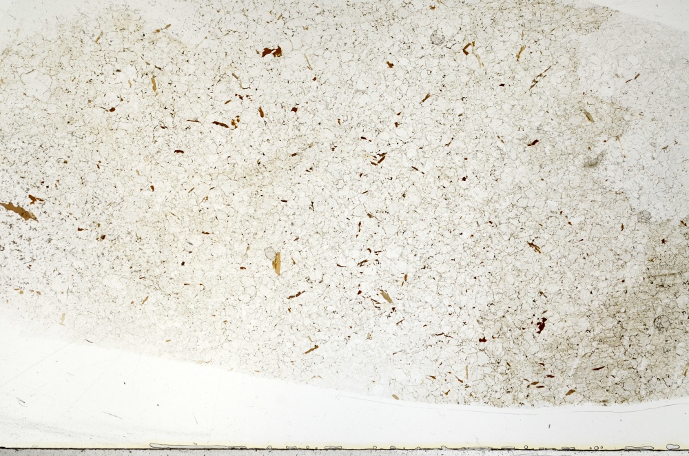 Plane Polarized, S70698