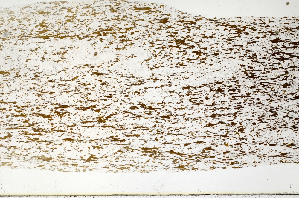 Plane Polarized, S70708