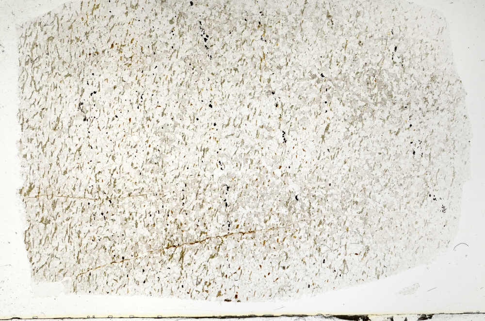 Plane Polarized, S70717