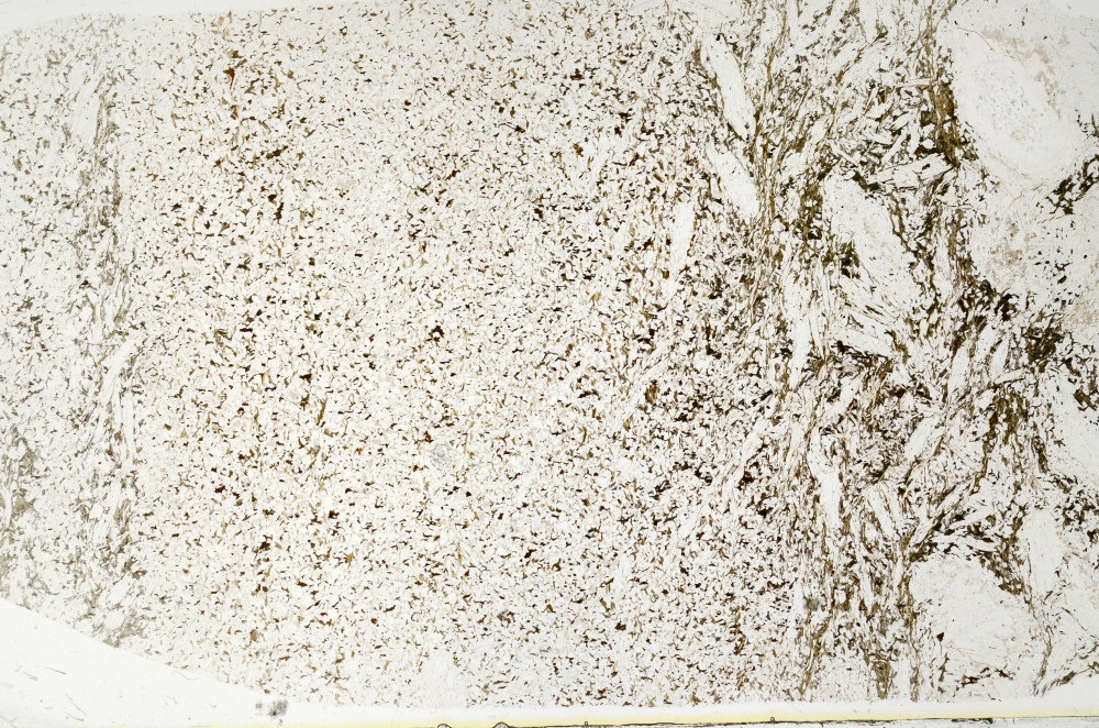 Plane Polarized, S70723