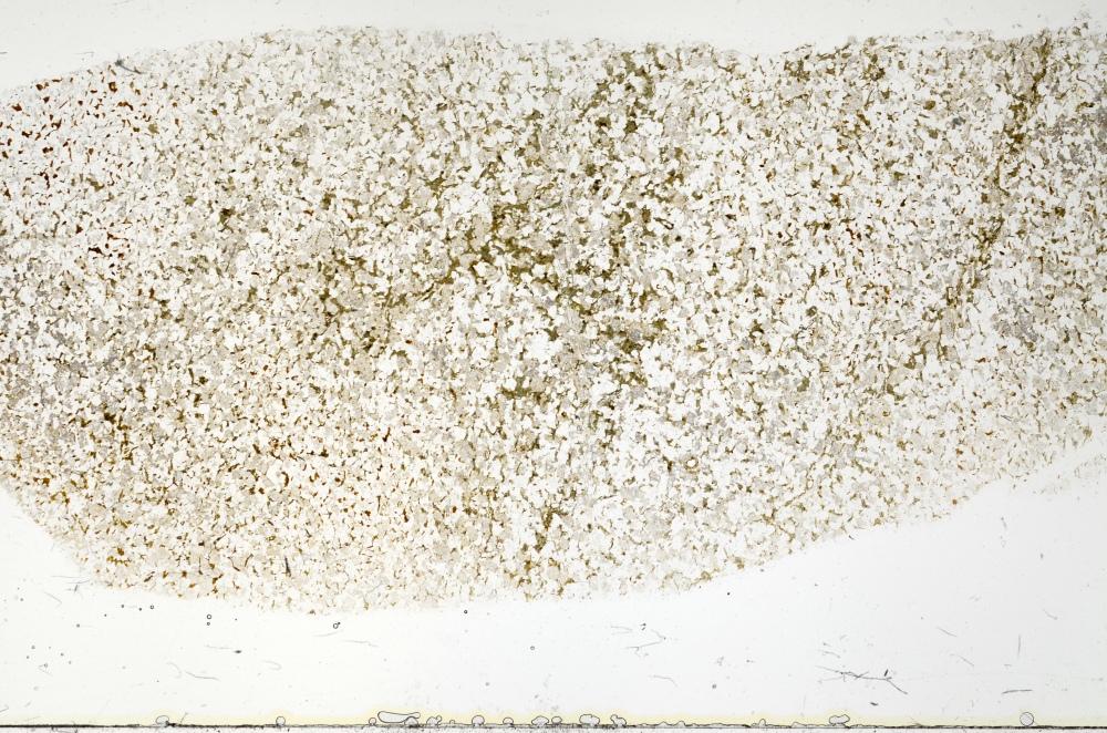 Plane Polarized, S70724
