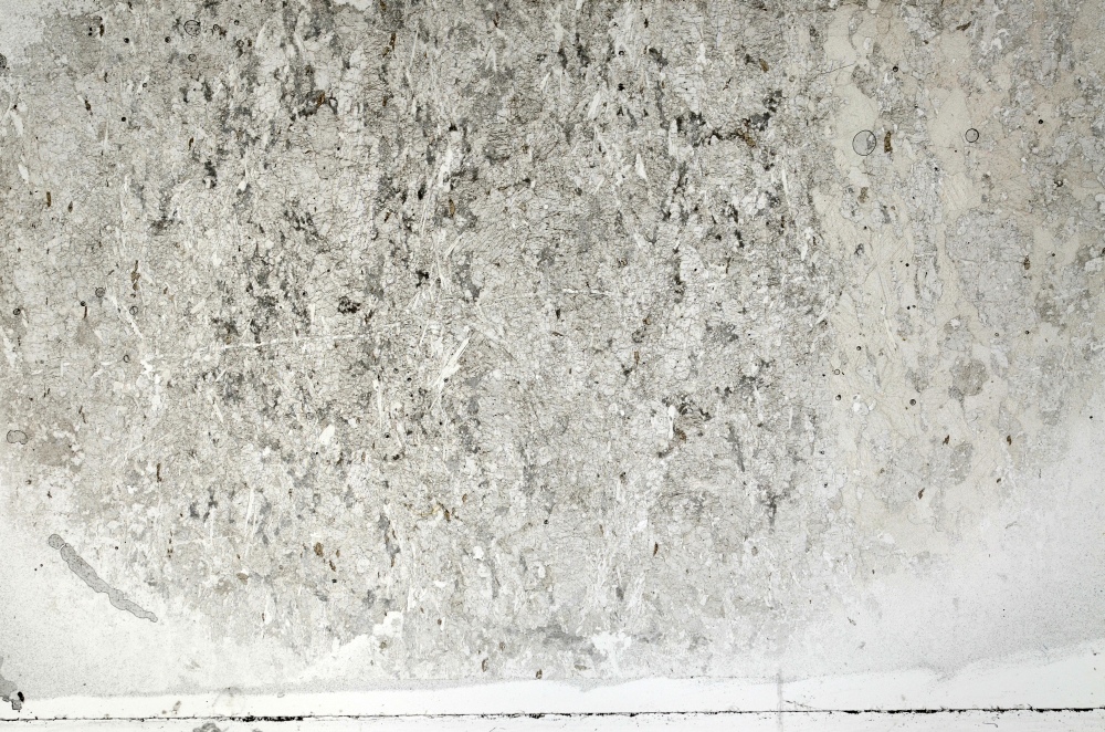 Plane Polarized, S70814