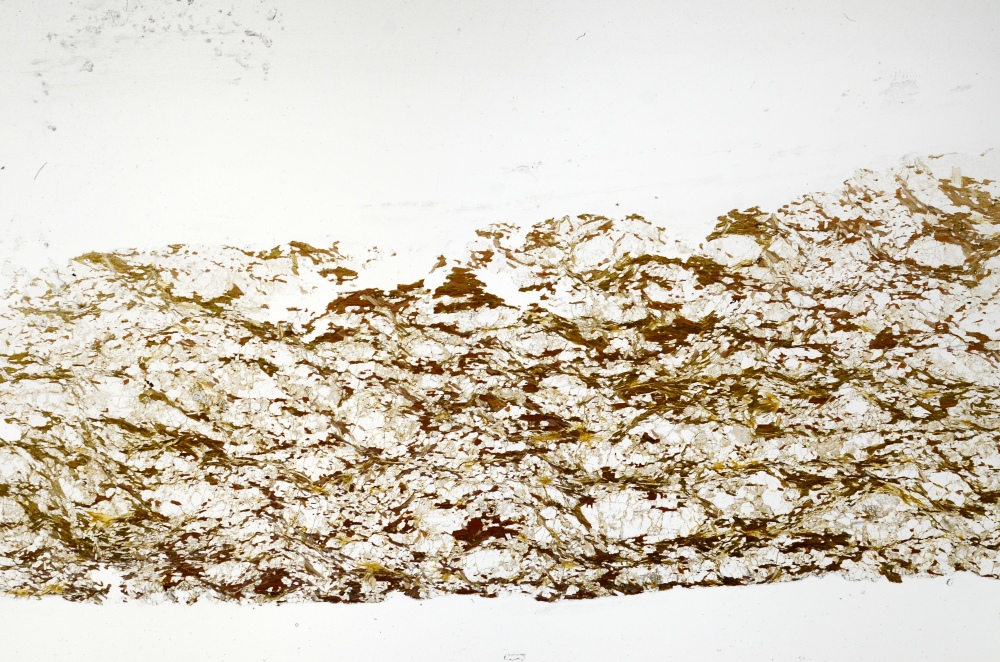 Plane Polarized, S70815