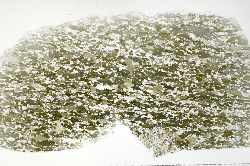 Plane Polarized, S70836