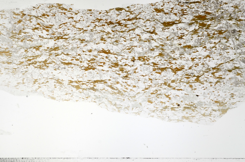 Plane Polarized, S70839