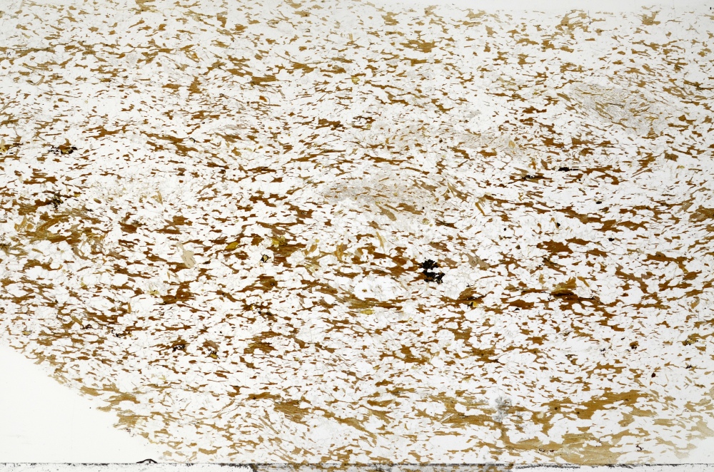 Plane Polarized, S70850