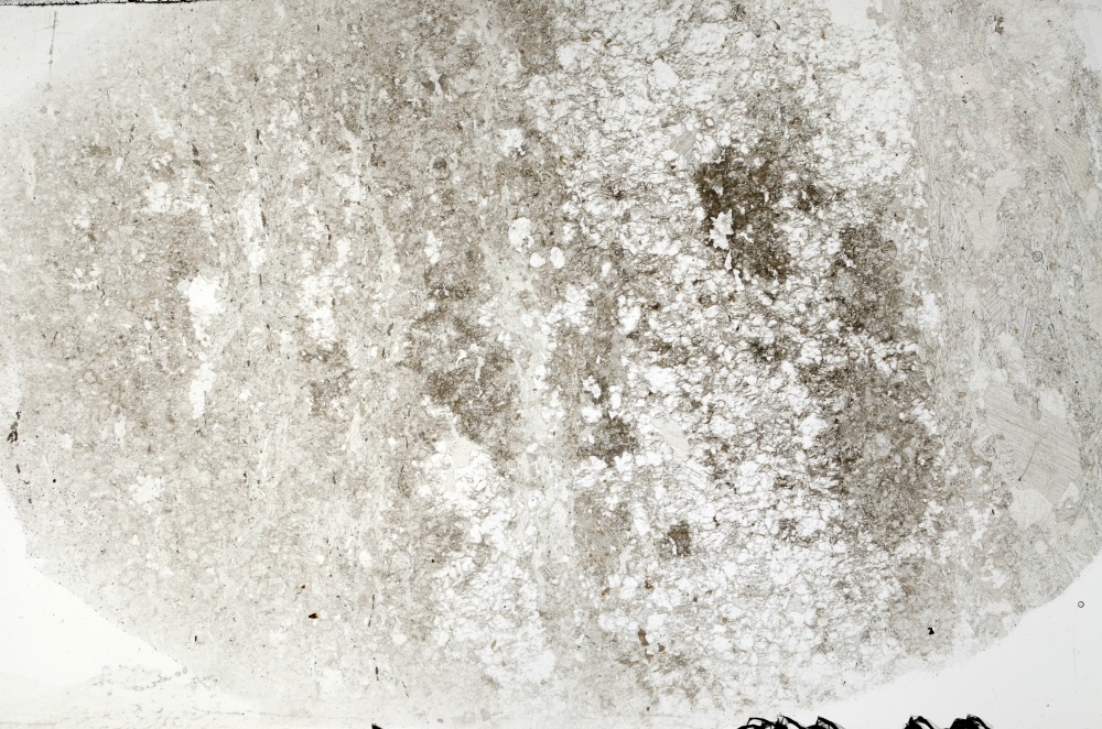 Plane Polarized, S70887