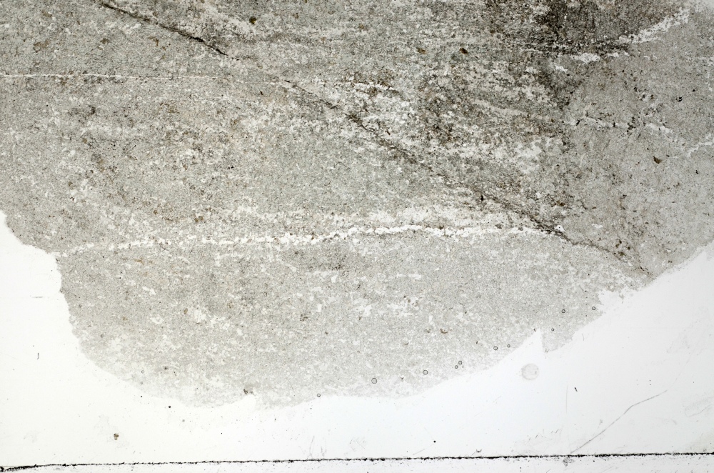 Plane Polarized, S70902