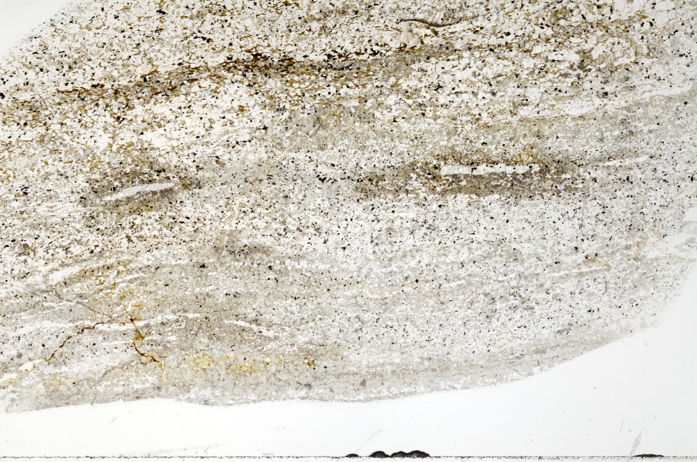 Plane Polarized, S70930