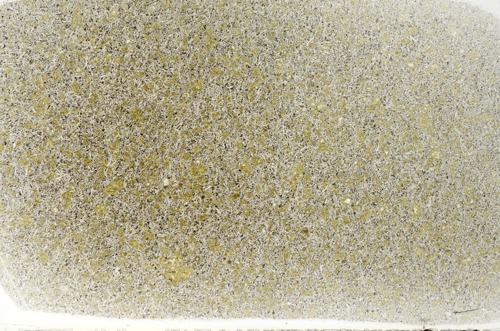 Plane Polarized, S71020