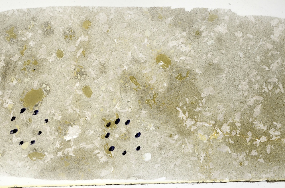 Plane Polarized, S71043