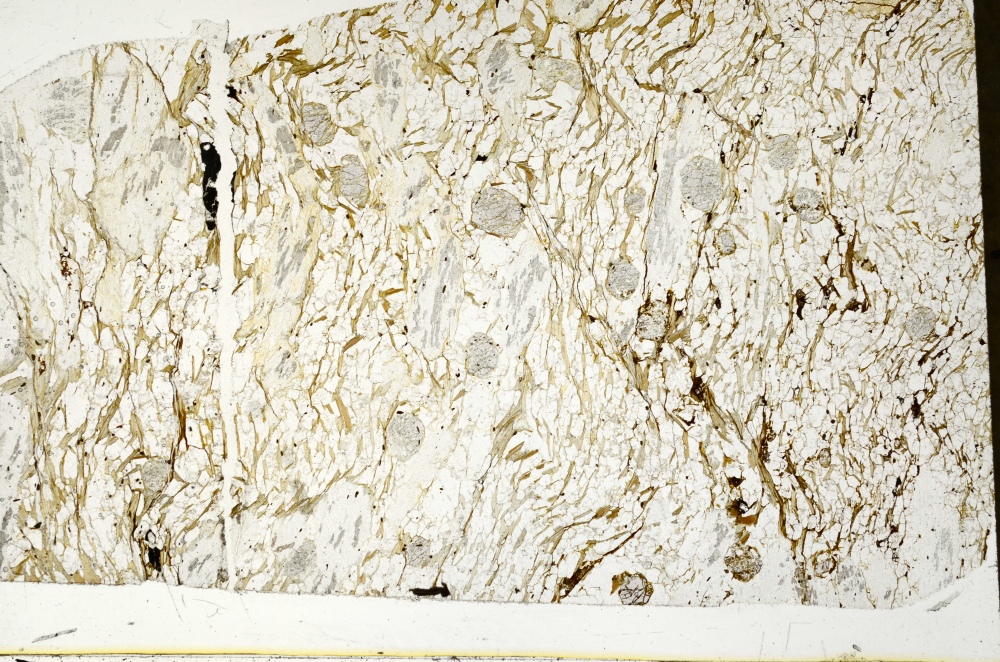 Plane Polarized, S71131