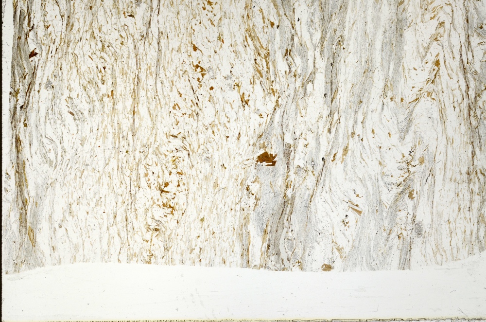 Plane Polarized, S71133