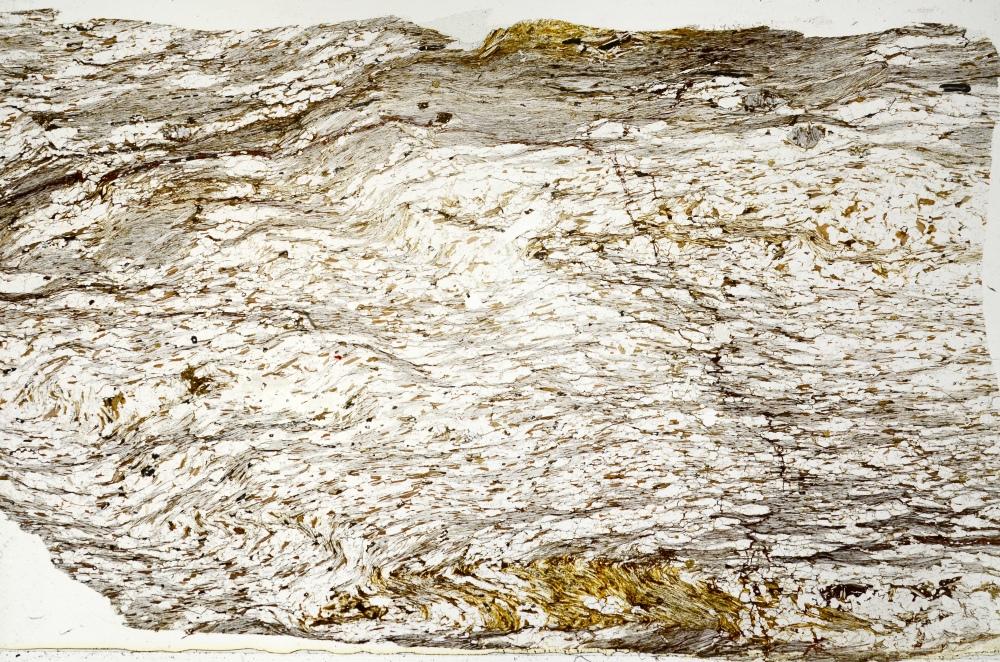 Plane Polarized, S71136