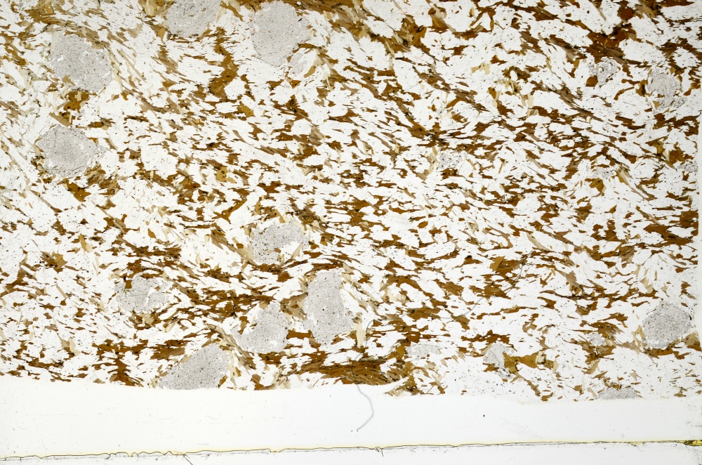 Plane Polarized, S71149
