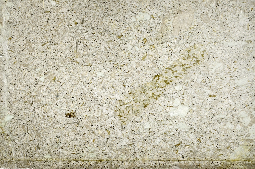 Plane Polarized, S71167