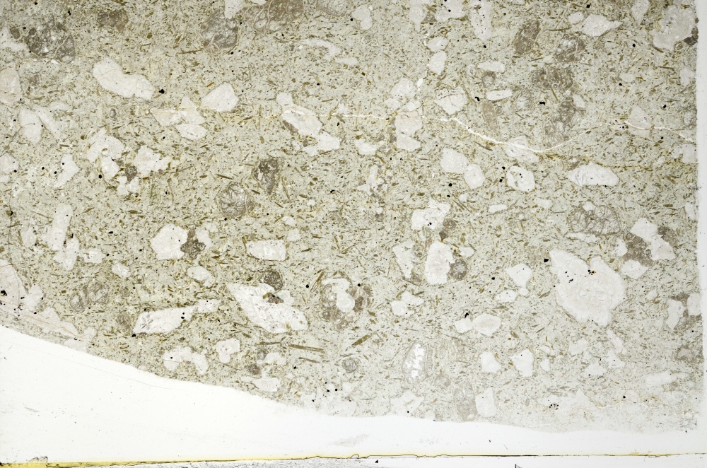 Plane Polarized, S71169