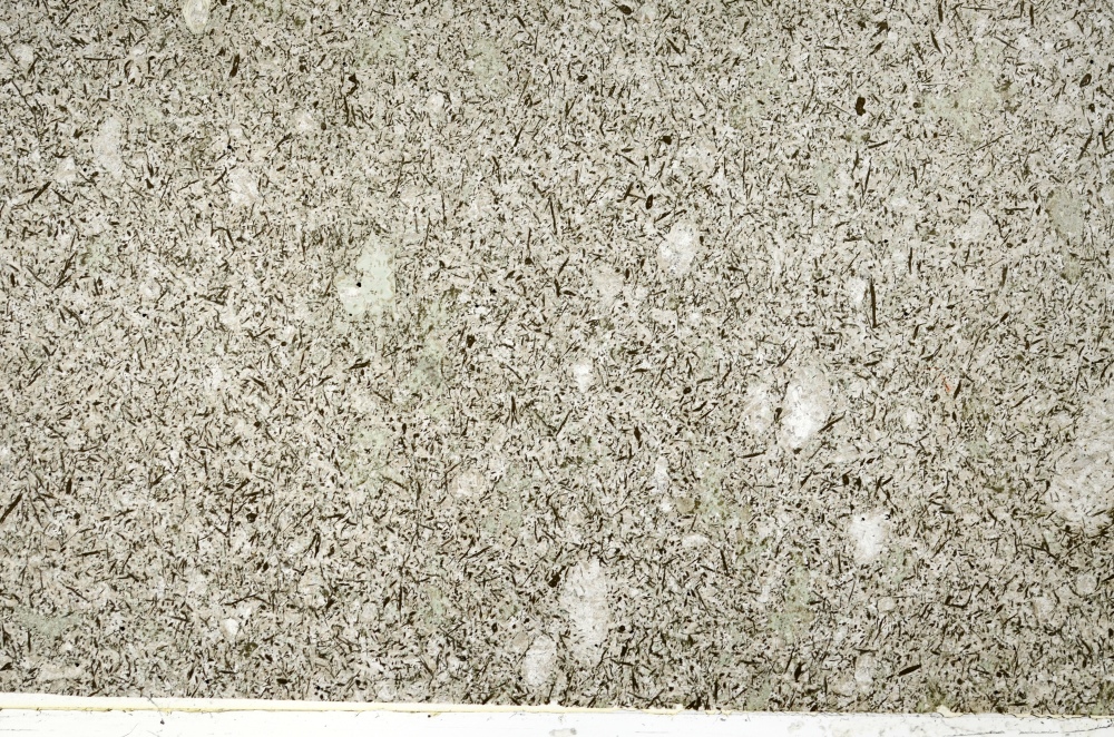 Plane Polarized, S71171
