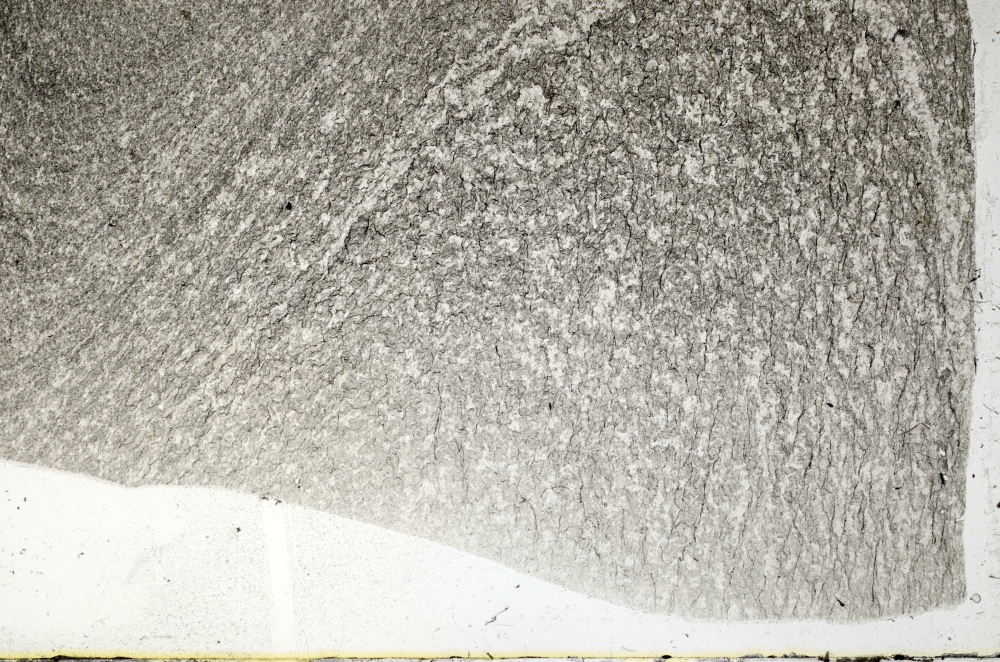 Plane Polarized, S71177