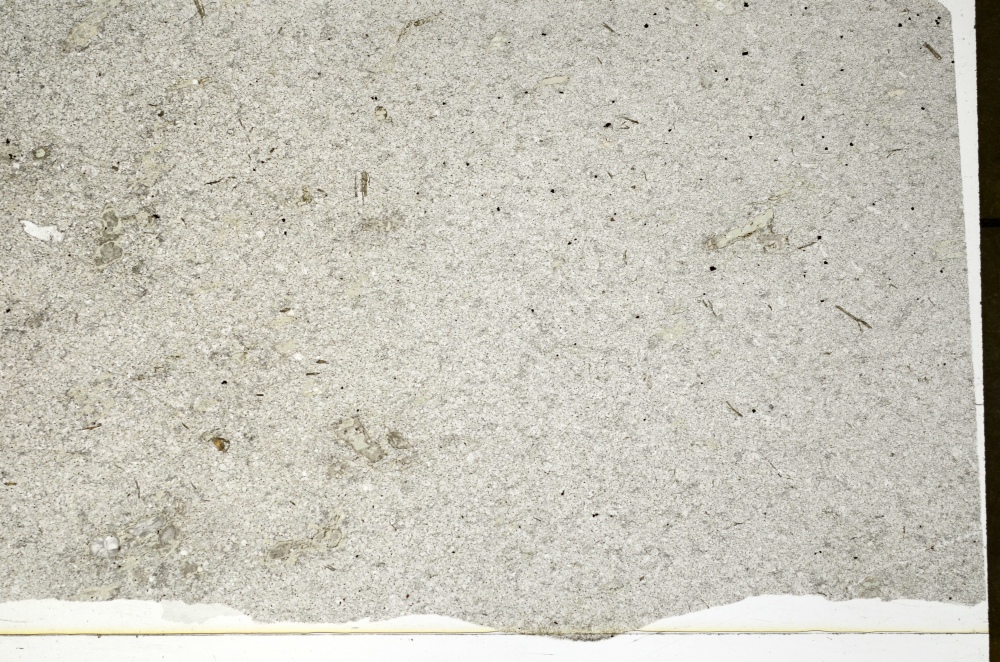 Plane Polarized, S71229