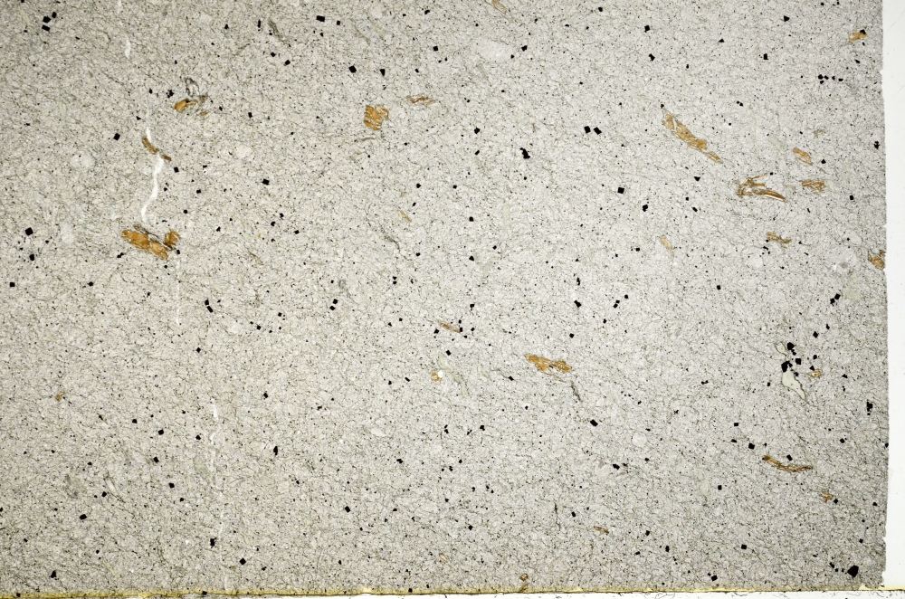 Plane Polarized, S71230