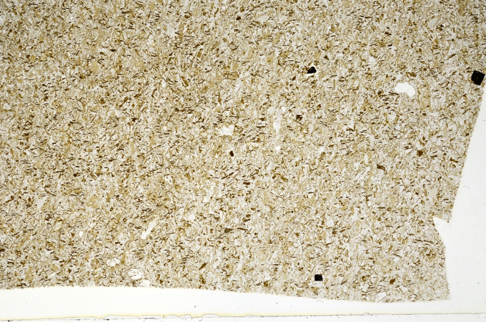 Plane Polarized, S71231