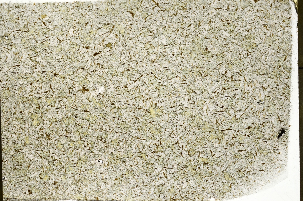 Plane Polarized, S71234