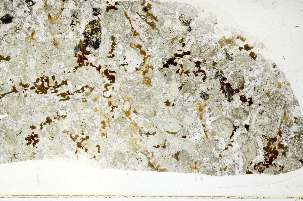 Plane Polarized, S71237